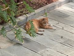 -龙达温泉生态城