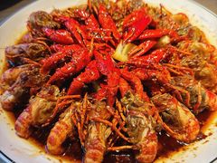 -红盔甲·小龙虾(车公庙店)