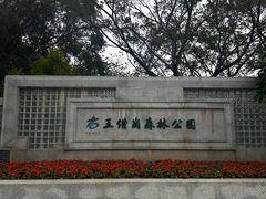 -王借岗森林公园