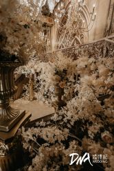 -DNA Wedding 婚礼记(上海店)