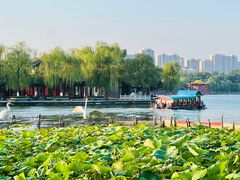 -济南大明湖景区