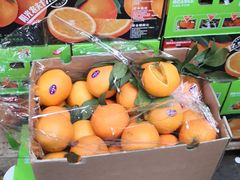 -上海龙吴水胜海发市场