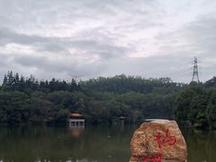 -深圳仙湖植物园