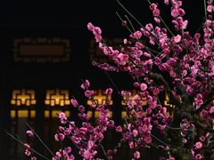 -成都杜甫草堂博物馆