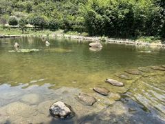-武汉姚家山旅游景区