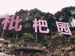 -枇杷园食为鲜火锅(南山店)