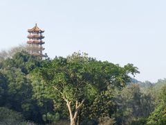 -深圳仙湖植物园
