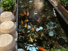 -有梦特色餐厅(古子城店)