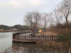 -自然谷恐龙园