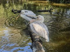 -济南野生动物世界