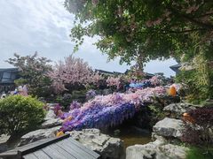 -茅山东方盐湖城景区