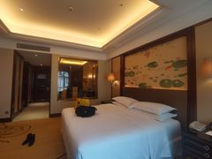 -汕头龙光喜来登酒店