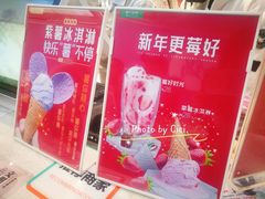 -野人先生现做冰淇淋(西安赛格店)