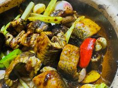 -天宝食坊·啫啫煲大排档(西华路店)