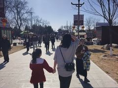 -赵州桥景区