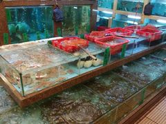 水产区-林記渔村(长安店)