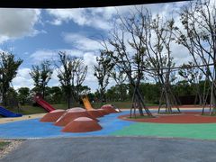 -春花秋色城市公园