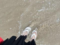 -玫瑰海岸文化旅游度假区