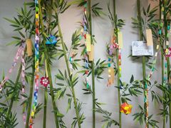 -樱花国际日语(徐家汇中心)