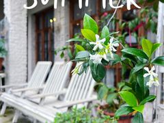-Jo's Garden
