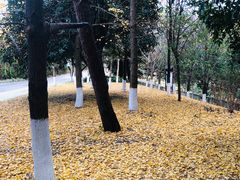 -南溪山景区