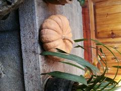 android_upload_pic-五花石之旅客栈