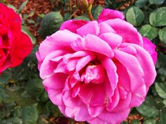 -人民公园(罗湖区)