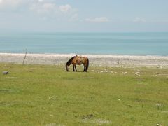 -青海湖国家重点风景名胜区