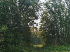 -桤木河湿地公园