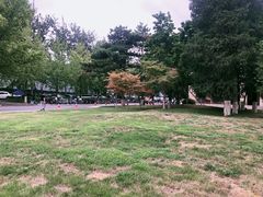 -北京化工大学(东校区)