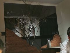 -黄山老妈·土菜(碧桂园店)