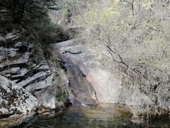 -王顺山国家森林公园