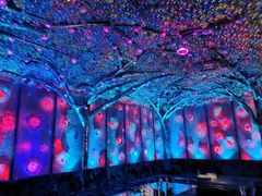 -异次元·LIGHT HOUSE·美食酒廊·休闲露台