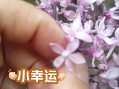 -黛秀湖公园