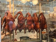 特色烤鸭-顺城金记卤鸡·清真