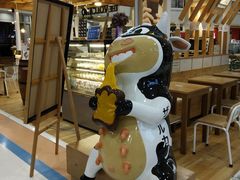 -尚泰清迈机场购物中心