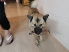 -NY STEAK 牛一扒房(番禺区南城路店)