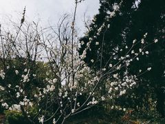 -黑龙潭公园