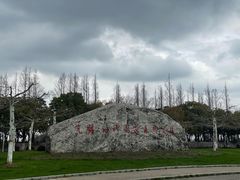 -上海海湾国家森林公园