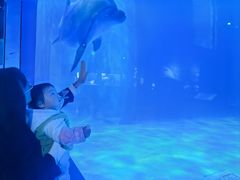 -多彩贵州城极地海洋世界