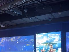-重庆欢乐海底世界