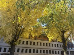 -国家图书馆·古籍馆