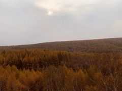 -塞罕坝国家级自然保护区