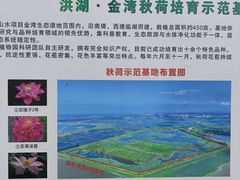 -洪湖生态旅游区