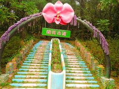 -田野绿世界