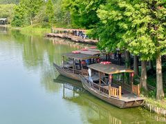 -溱湖国家湿地公园