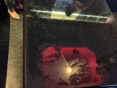 -东方之珠KTV娱乐超市(河北店)