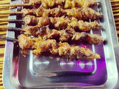 -民族烤羊·烤羊肉串·烤羊排(南城店)