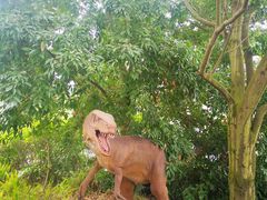 -自贡恐龙博物馆