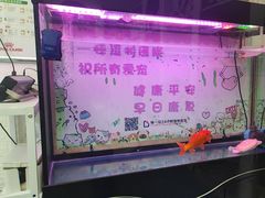 -特一安24小时宠物医院·骨科·中兽医